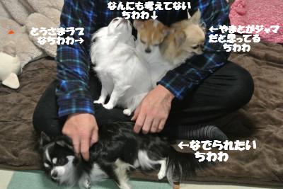 20121126+009_convert_20121129094057.jpg