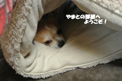 20121126+010_convert_20121126103041.jpg