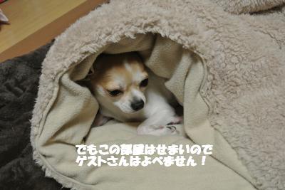 20121126+011_convert_20121126102954.jpg