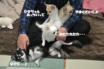 20121126+011_convert_20121129094120.jpg