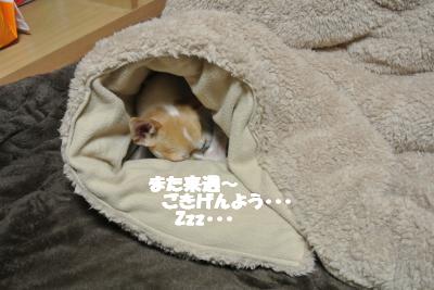 20121126+012_convert_20121126103142.jpg
