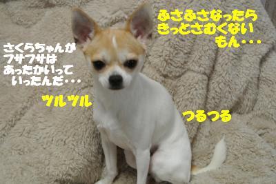20121126+013_convert_20121127105115.jpg