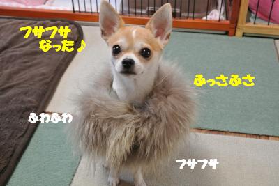 20121126+013_convert_20121127130723.jpg