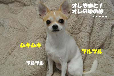 20121126+014_convert_20121127105046.jpg