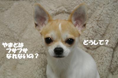 20121126+015_convert_20121127105144.jpg