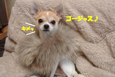 20121126+015_convert_20121127130959.jpg