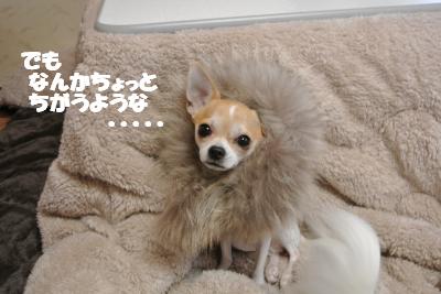 20121126+016_convert_20121127130758.jpg
