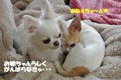 20121129+002_convert_20121129141630.jpg