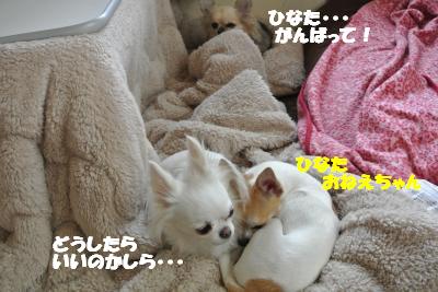 20121129+004_convert_20121129141926.jpg