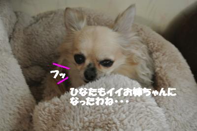 20121129+006_convert_20121129141952.jpg
