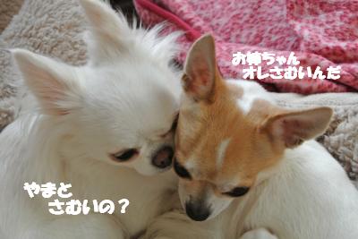 20121129+009_convert_20121129141737.jpg