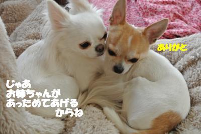 20121129+010_convert_20121129141802.jpg