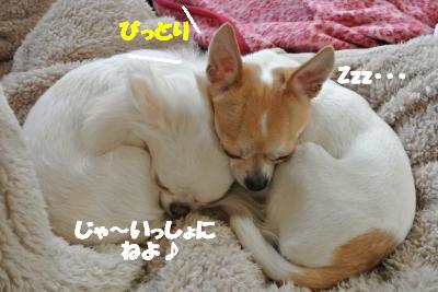 20121129+012_convert_20121129141859.jpg