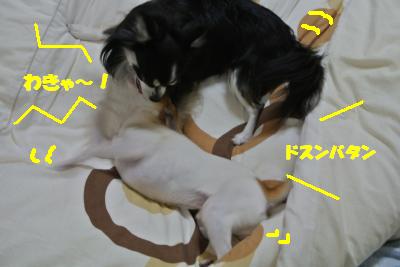 20121203+002_convert_20121204104042.jpg
