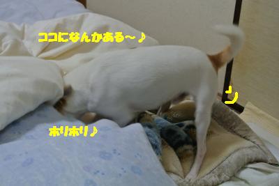 20121203+004_convert_20121206094859.jpg