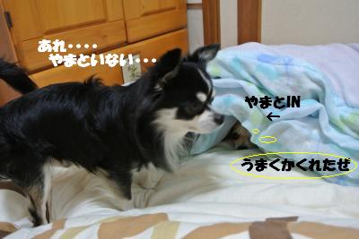 20121203+006_convert_20121206094751.jpg