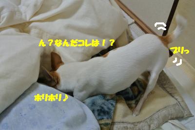 20121203+007_convert_20121206094818.jpg