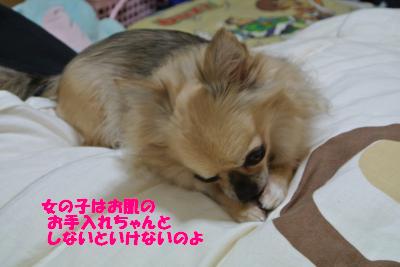 20121203+009_convert_20121204105531.jpg