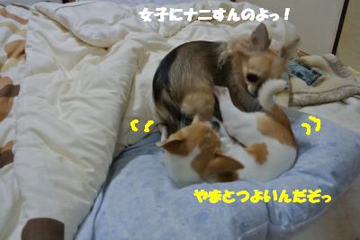 20121203+013_convert_20121204104121.jpg