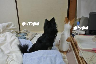 20121203+015_convert_20121204103559.jpg