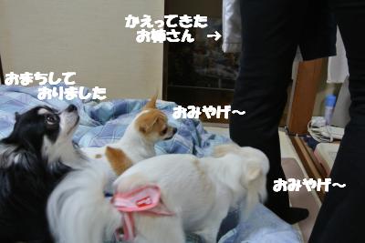 20121203+016_convert_20121204103658.jpg