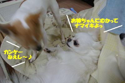 20121203+019_convert_20121206094725.jpg