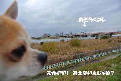 20121203+023_convert_20121203103217.jpg