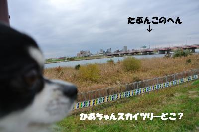 20121203+024_convert_20121203103241.jpg