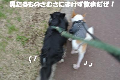 20121203+025_convert_20121203103306.jpg