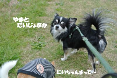 20121203+026_convert_20121203103335.jpg