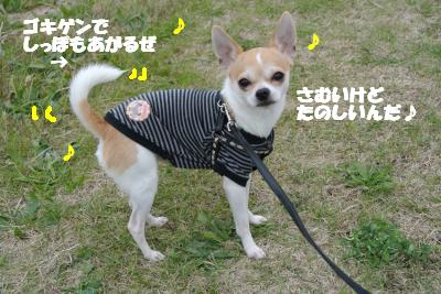20121203+028_convert_20121203103408.jpg