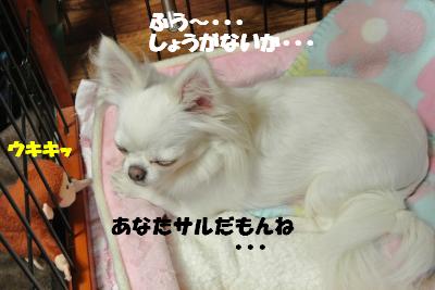 20121205+004_convert_20121205103740.jpg