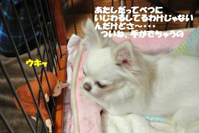 20121205+005_convert_20121205103651.jpg