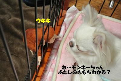 20121205+008_convert_20121205103952.jpg