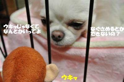 20121205+009_convert_20121205103617.jpg