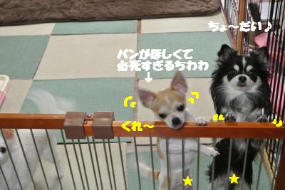 20121206+003_convert_20121206093852.jpg