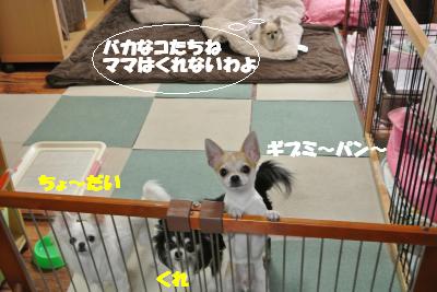 20121206+005_convert_20121206094024.jpg