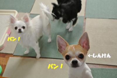 20121206+007_convert_20121206094143.jpg