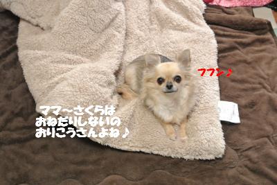 20121206+008_convert_20121206094354.jpg