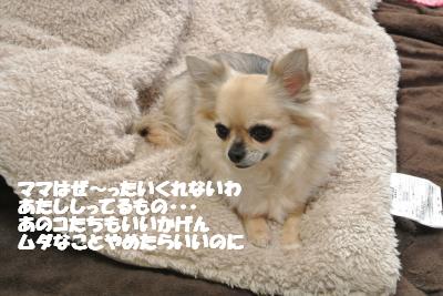 20121206+009_convert_20121206094326.jpg