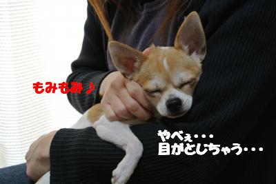 20121210+001_convert_20121210104637.jpg