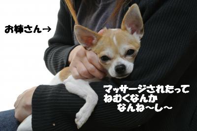 20121210+002_convert_20121210104709.jpg