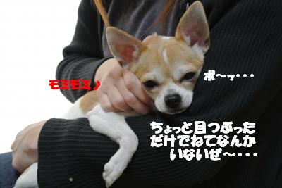 20121210+003_convert_20121210104735.jpg