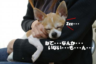 20121210+004_convert_20121210104806.jpg