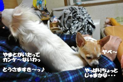 20121210+028_convert_20121210105123.jpg