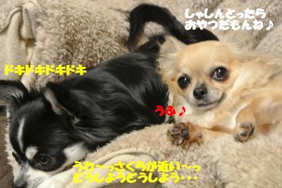 20121210+033_convert_20121210105358.jpg