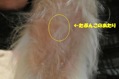 20121212+002_convert_20121212105941.jpg