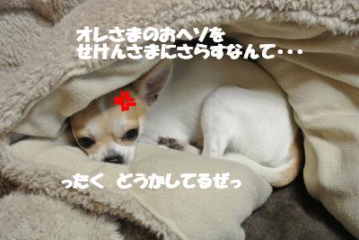 20121212+006_convert_20121212110118.jpg