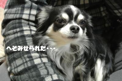 20121212+007_convert_20121212110046.jpg