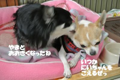 20121212+015_convert_20121213093245.jpg